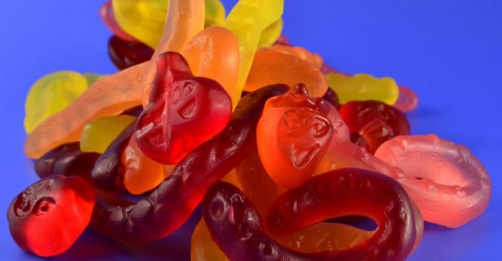 Jelly snakes aka shrieking eels